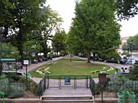 Paris, Parc du Vert-Galant, Ile de la Cite